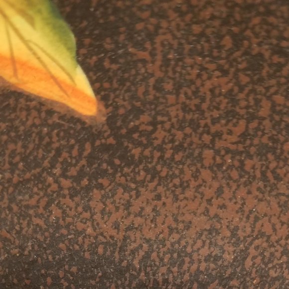 Hand Painted Acorn & Fall Leaves Wooden Bowl - Picture 4 of 7